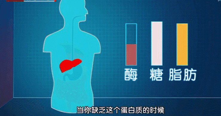 大妈吃醋扇健身房教练_大妈掌掴健身房教练_健身房大妈打男私教