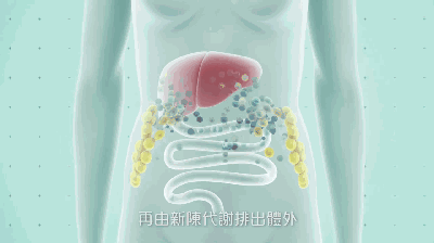大妈掌掴健身房教练_健身房大妈打男私教_大妈吃醋扇健身房教练